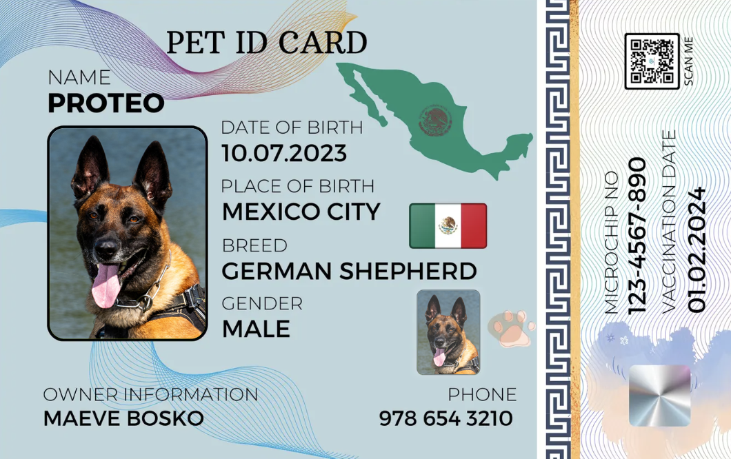 Mexico-Pet ID Card with QR Code for Personalized Pet Info