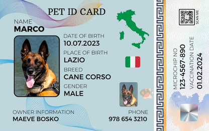 Italy-Pet ID Card with QR Code for Personalized Pet Info
