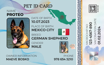 Mexico-Pet ID Card with QR Code for Personalized Pet Info
